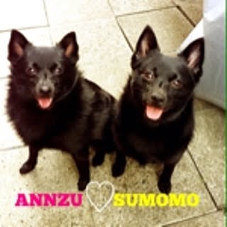 anzu_sumomo_mama