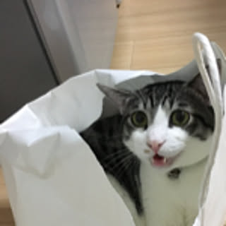 nomu2