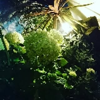 you02251122