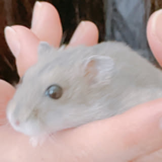 mi