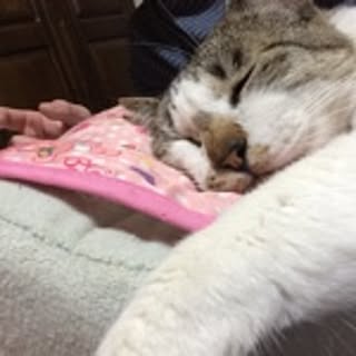 takuya