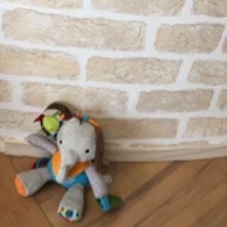 rein