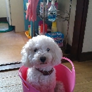 hiro.163.1024.