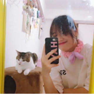 iC9HmF88FAXi3TS