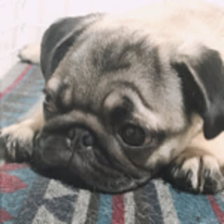 ganmo