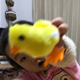 nnalci32