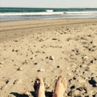 BECH