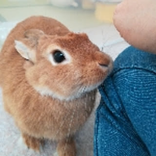 mi