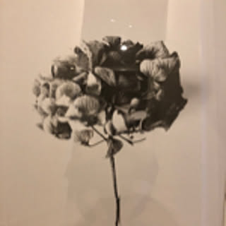 hi--