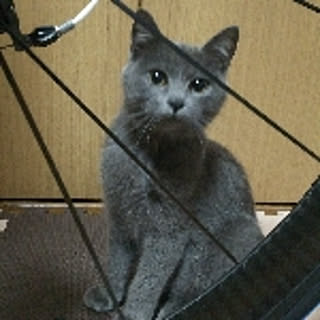piro