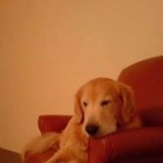 RJ