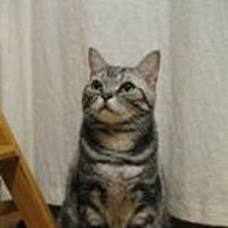 Kumi