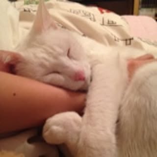 Yuka