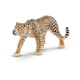 leopard_museum