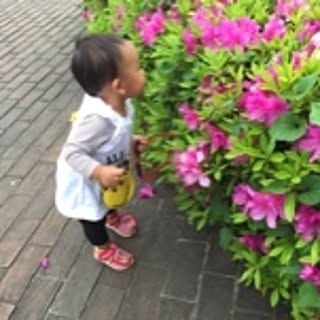 mike