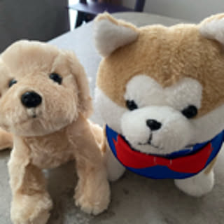 ku