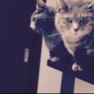 rocky