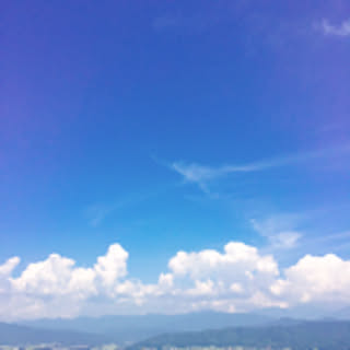 miyaputi