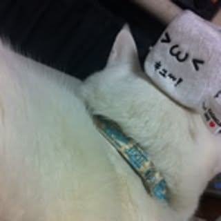 Nak0
