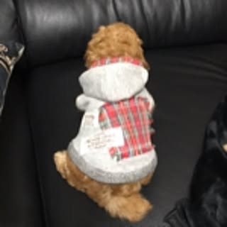 kuu
