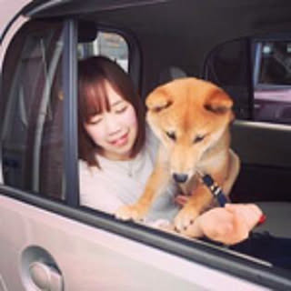 kuma