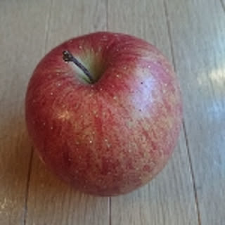 ringoringo