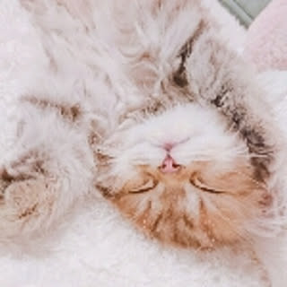 macotu