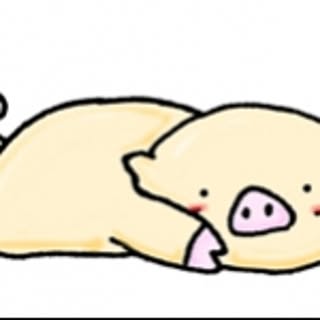 kotta