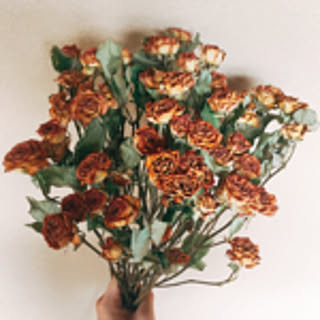 U.AND.I