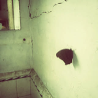 mannh