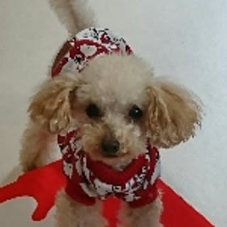 mogu