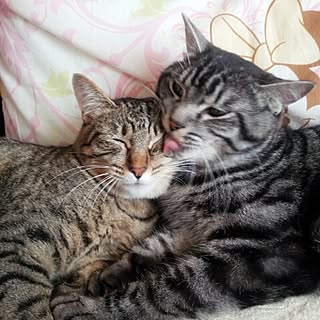 coeur