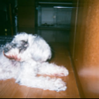 achu