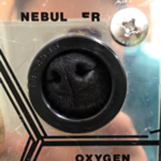 Gaog