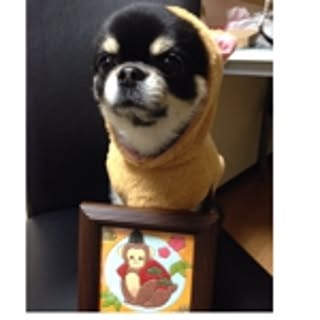 maasuke