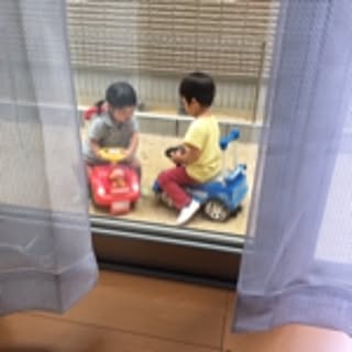komorebi