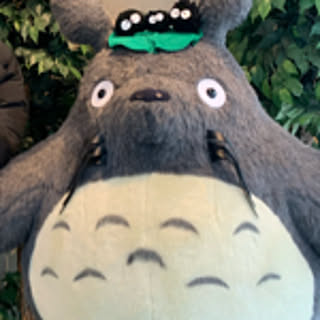 ayu