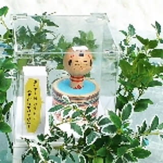 sugawara_xwo