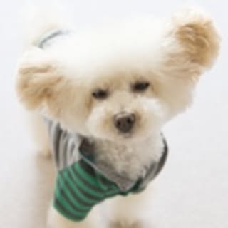 anco