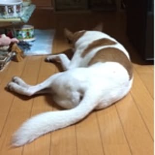 40masaru