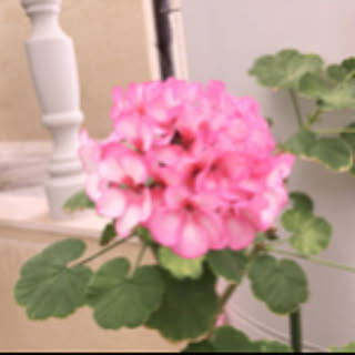 oranger8