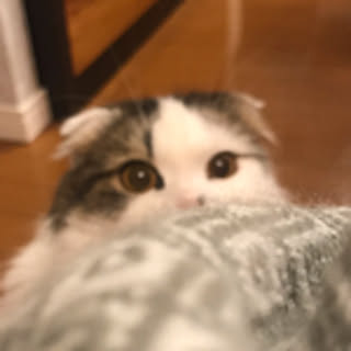 m.