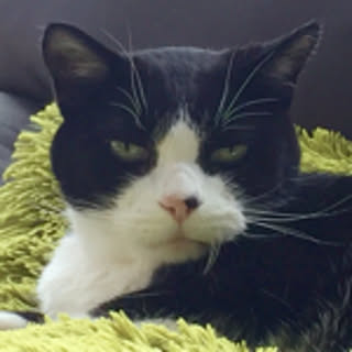 yumigon