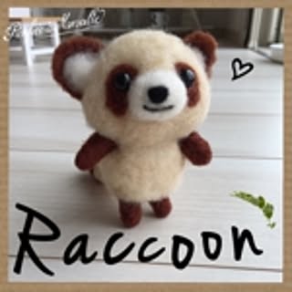 Raccoon
