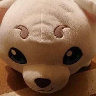 suu