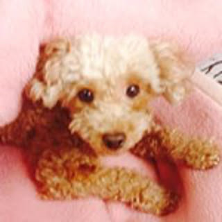 Mariko