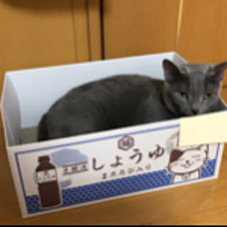 ayumi