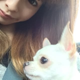 chan_mayu