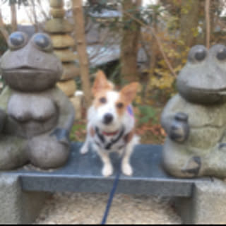 JRT