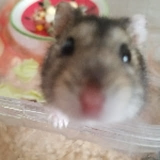 non